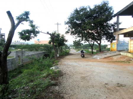 4) Li Id : 179 - Pic 5.JPG